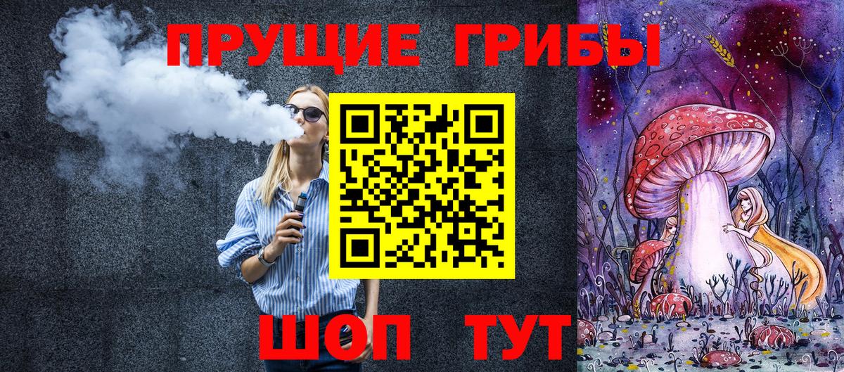 Шали  Галлюциногенные грибы прущие грибы  Вход с VPN 